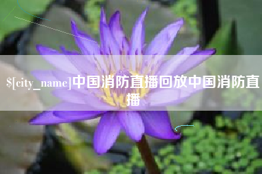 开原中国消防直播回放中国消防直播