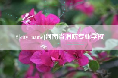 开原河南省消防专业学校
