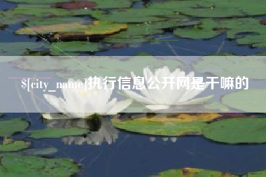 开原执行信息公开网是干嘛的