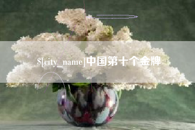 开原中国第十个金牌
