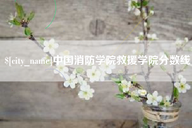 开原中国消防学院救援学院分数线