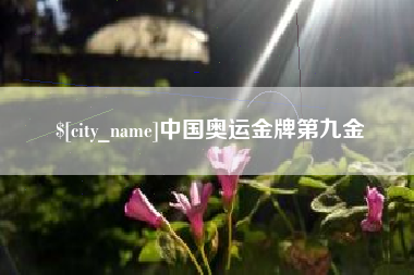 开原中国奥运金牌第九金