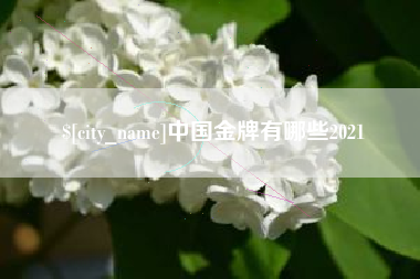开原中国金牌有哪些2021