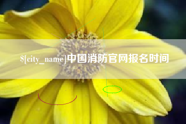 开原中国消防官网报名时间