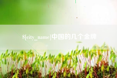 开原中国的几个金牌