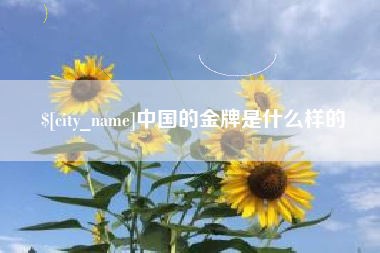 开原中国的金牌是什么样的
