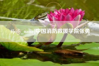 开原中国消防救援学院张勇