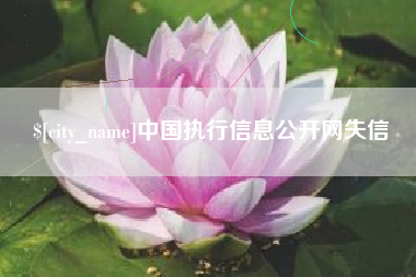 开原中国执行信息公开网失信