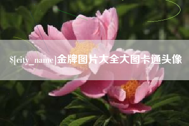 开原金牌图片大全大图卡通头像