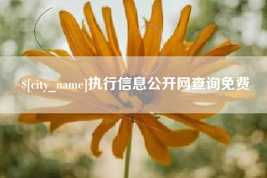 开原执行信息公开网查询免费