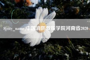 开原中国消防救援学院河南省2020