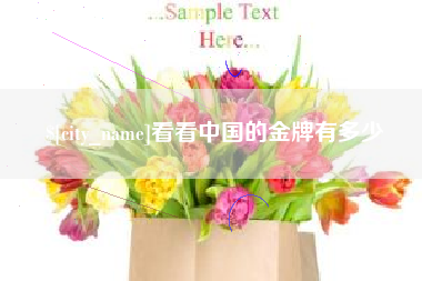 开原看看中国的金牌有多少